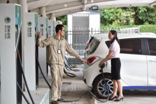 美媒 中国有条不紊打造全球最大电动车市场 外企竞相追随